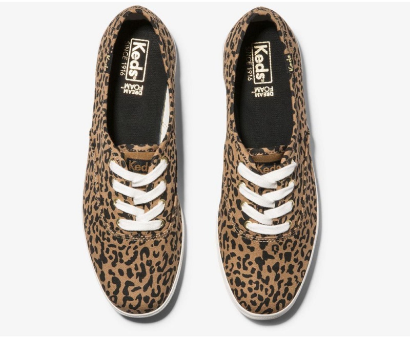 Keds Washable Champion Animal Αθλητικα Παπουτσια γυναικεια καφε | FCK418307